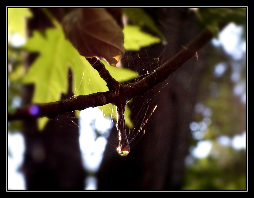 The Unbearable Lightness of Being