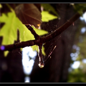 The Unbearable Lightness of Being