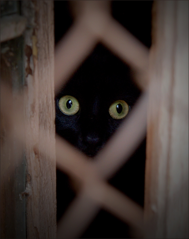 'I can see you clearly now'