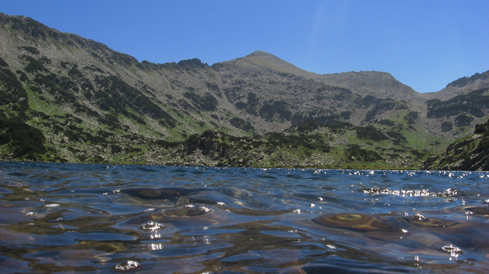 езерце
