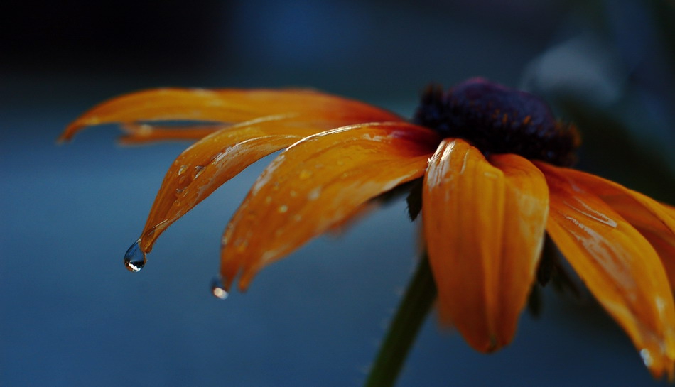 ...............Inexpressibly...............