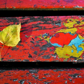 	The fall is comming...../3/