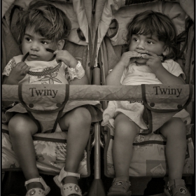 ~ Twiny ~