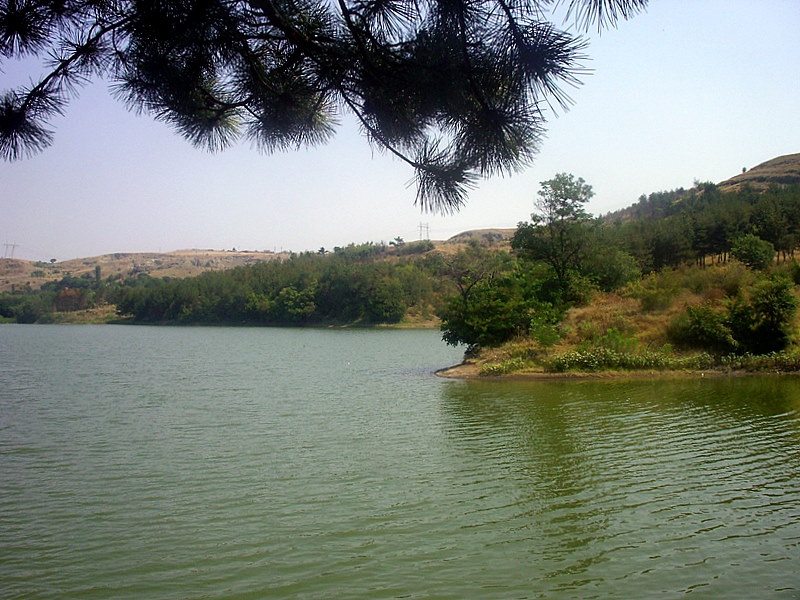 На сянка край зелените води