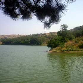 На сянка край зелените води