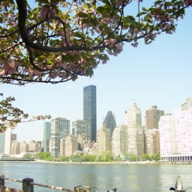 Manhattan in Spring form Rosewelt Island