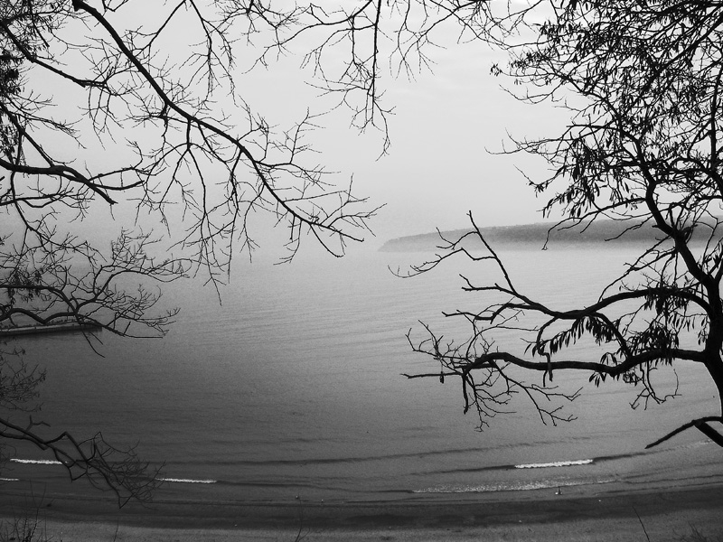 foggy b&w