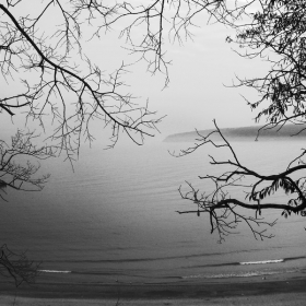 foggy b&w