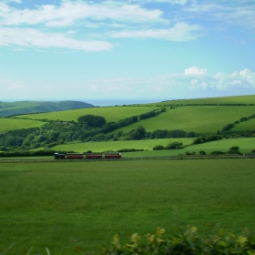 Across the endless fields of green