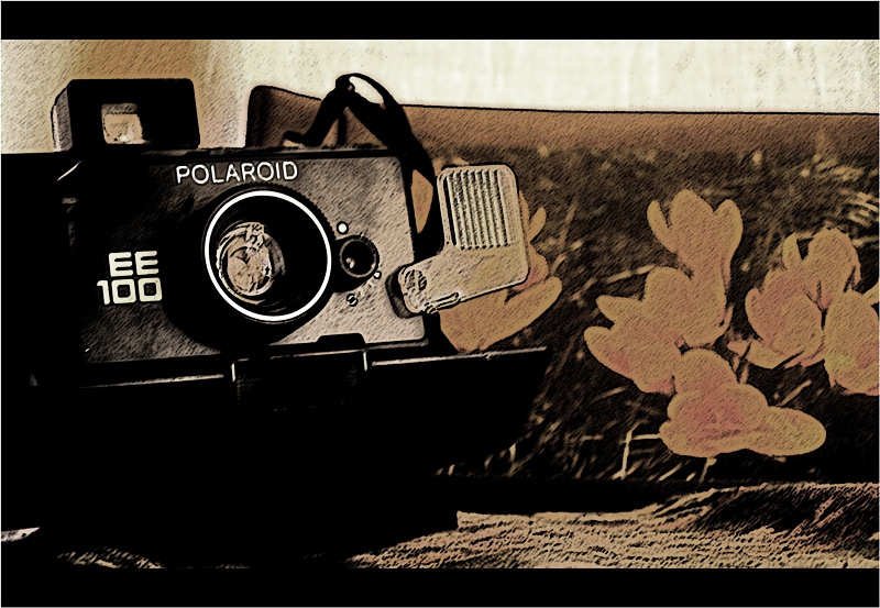  Old generation '' POLAROID''