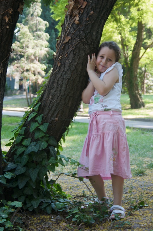 До едно дърво