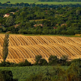 Just a summer country scene...