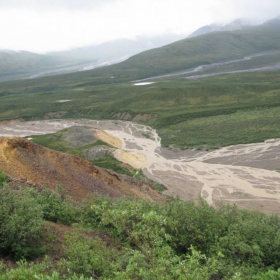 Denali National Park - Alaska