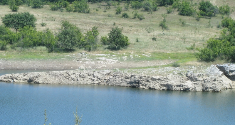 жребчево
