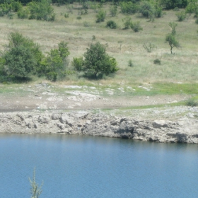 жребчево