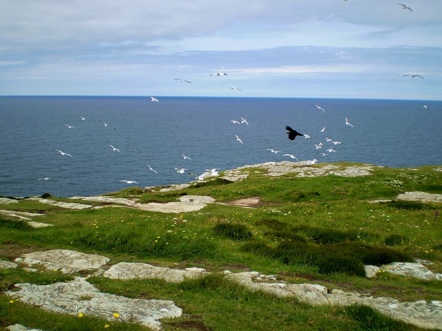 Above the Ocean
