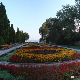 The Garden