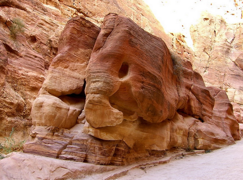 Slona kym Petra