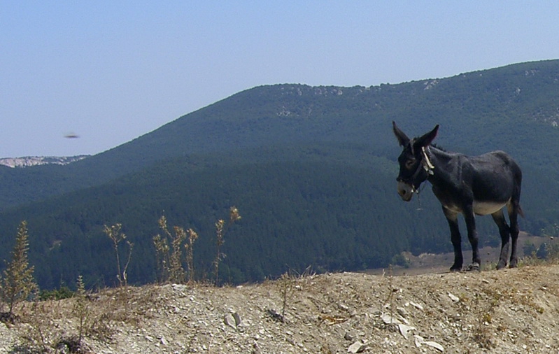 NLO nad Perperikon