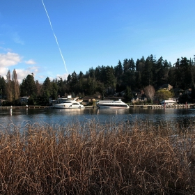 Luther Burbank Park - Seattle