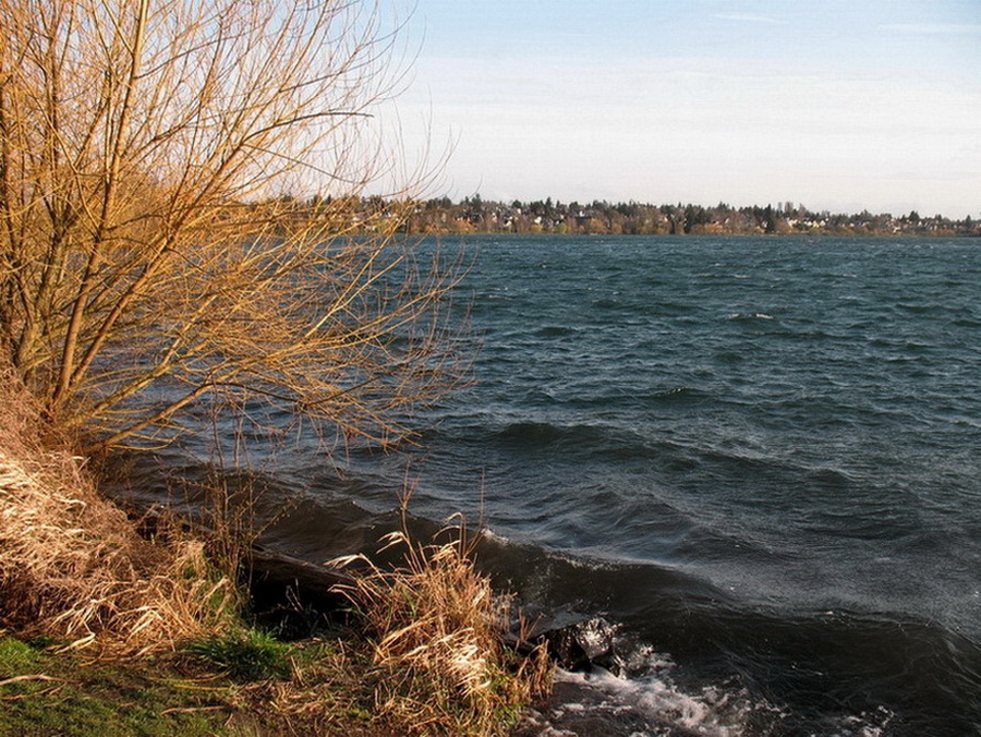 Greenlake -  Seattle (преди залез, когато слънцето е много ниско...)