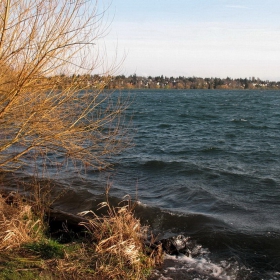 Greenlake -  Seattle (преди залез, когато слънцето е много ниско...)