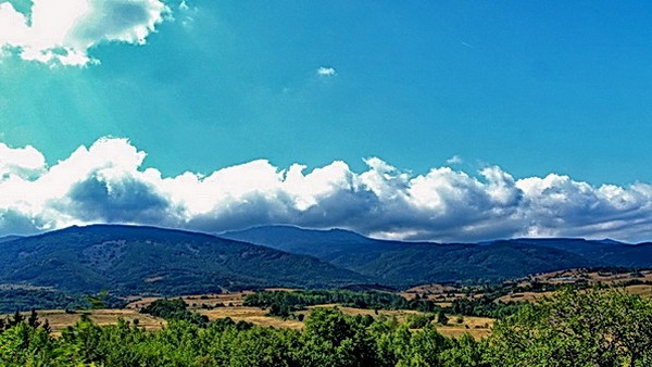 Vitocha