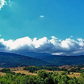 Vitocha