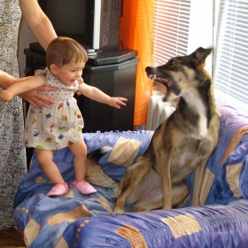 Фотьойла си е мой