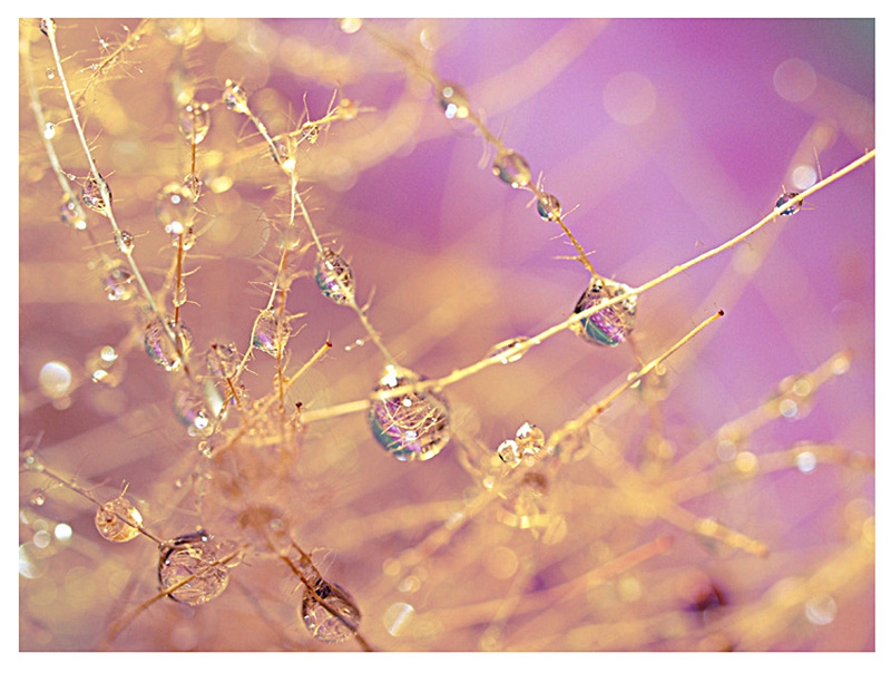 *** with love