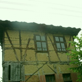 LESHNICA 1