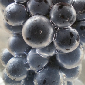 Grapes Under Water