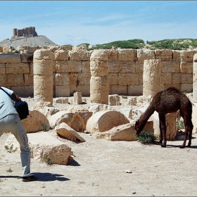 Palmira, Syria....