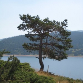яз. Белмекен