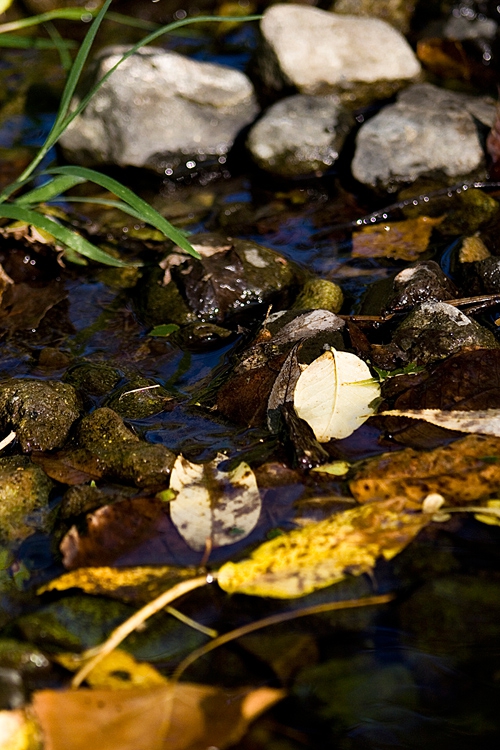 Color Water 2