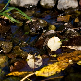 Color Water 2