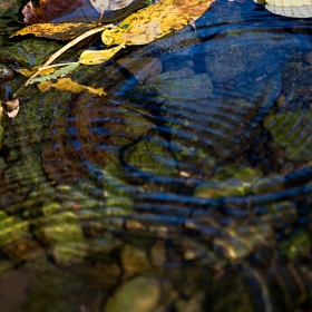 Color Water