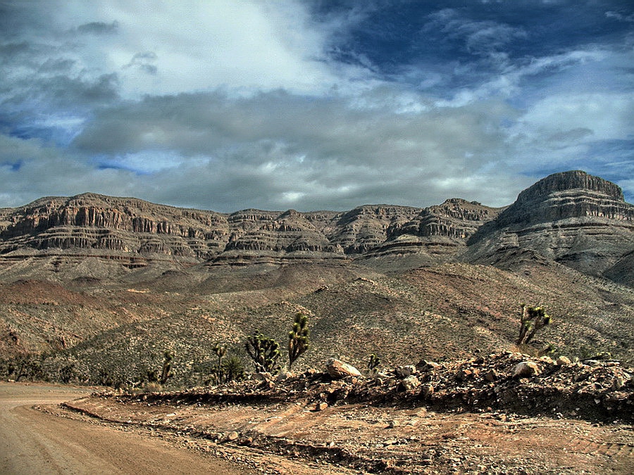 Arizona