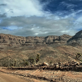 Arizona