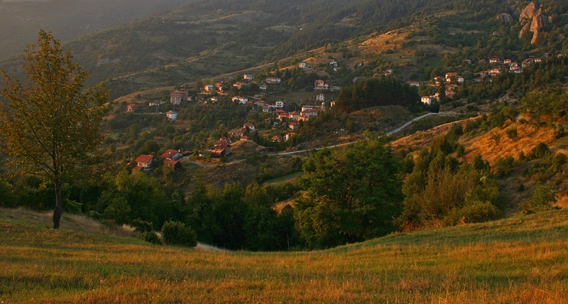 с.Борово