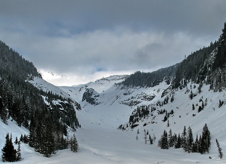 Rainier Mt.
