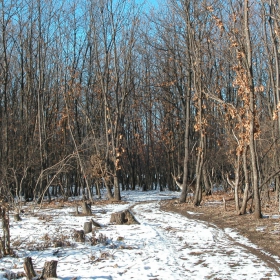 Утрото  на първият ден  2009 г