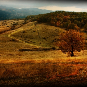 Витоша