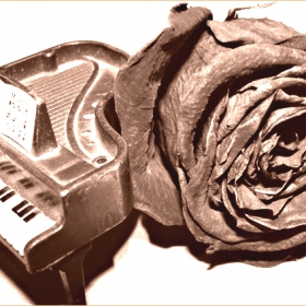 piano and a rose