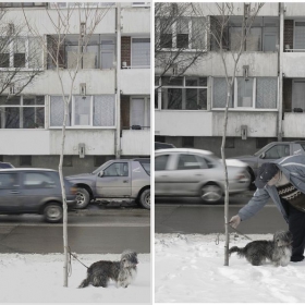 а това винаги щастливо... =)