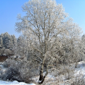 Зима3
