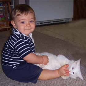 Igra na bebe i kote
