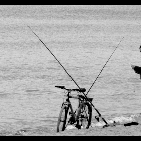 fishing....