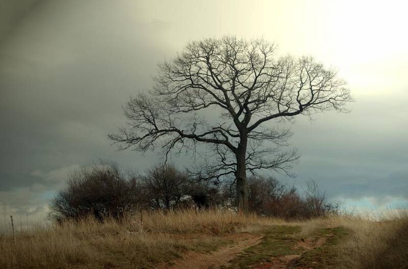 one tree hill  :D