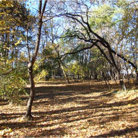 PARK VLADISLAV VARNENCHIK